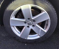 17” Monte Carlos - Image 5/5