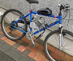Brand new engine bike - Image 4/6