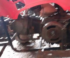 Quad