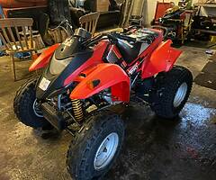Quadzilla 250cc