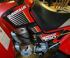 Quadzilla 250cc