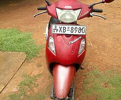 Pleasure - Image 3/3