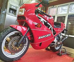 1989 Ducati 400SS Desmo - Image 10/10