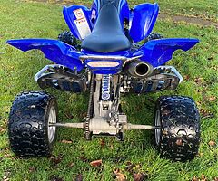 2009 Yamaha  E red aptor - Image 6/7