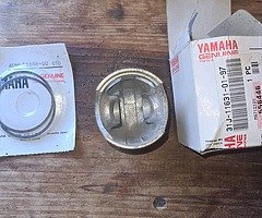 genuine yamaha yz490 piston&rings kit