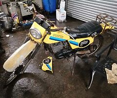 1981 Suzuki TS