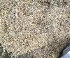 Hay
