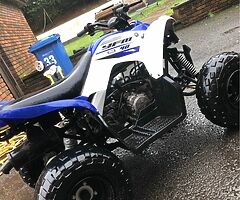 2016 yamaha raptor 90 90 cc
