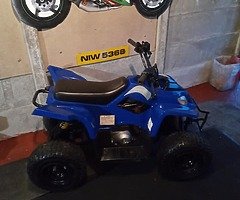 2018 Zhejiang Quad - Image 7/7