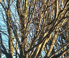 House for sale by private seller