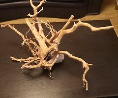 Wood