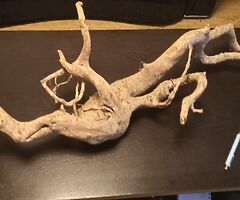 Wood