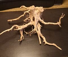 Wood - Image 4/8