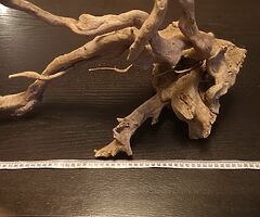 Wood - Image 5/8