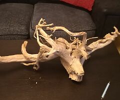 Wood - Image 7/8