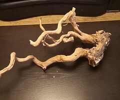 Wood - Image 8/8