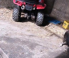 2010 Honda  TRX