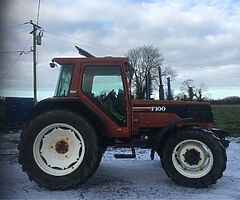 Fiat F100