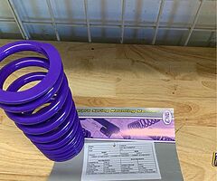 ;PROGRESSIVE SPRING KIT - Image 6/6