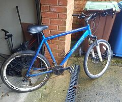 mans bike