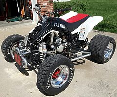 Quad wanted today cash here what yas have...