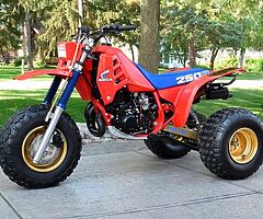 1986 Honda  250r