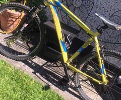 Dirt bike and push bike