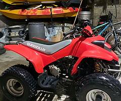 Quadzilla r100 quad - Image 6/8