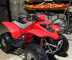 Quadzilla r100 quad - Image 7/8