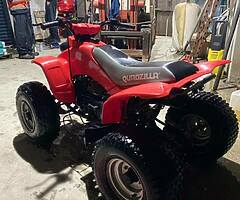 Quadzilla r100 quad - Image 8/8