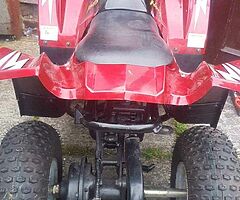 2009 nemesis  atv