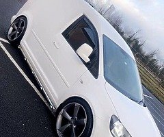 Kitted caddy - Image 3/7