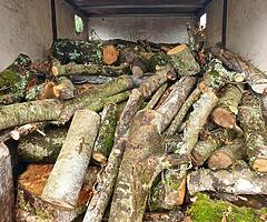 Timber - Image 4/4