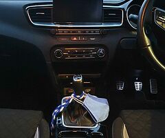 Kia pro'ceed 1.4 gtline