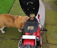 1983 Honda Cub