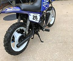Pw50