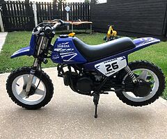 Pw50 - Image 6/6