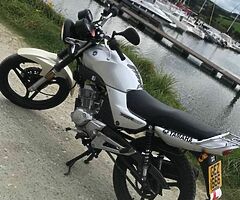 2007 Yamaha YBR