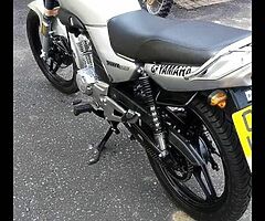 2007 Yamaha YBR