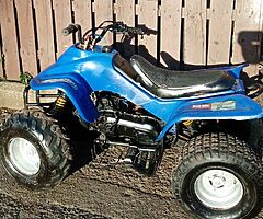 2021 Blaney 100cc  2 stroke - Image 4/4