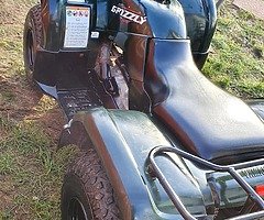 Yamaha Grizzly - Image 5/6