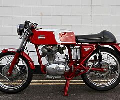 1970 Ducati Gran Prix - Image 3/10