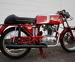 1970 Ducati Gran Prix - Image 6/10