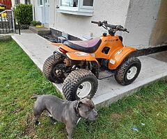 2016 Quad 100cc