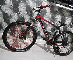 Boardman - Image 5/6