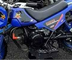 2021 Yamaha PW
