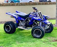 2007 yamaha bashee