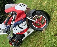 Mini moto - Image 6/6