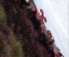 Farm quads wanted