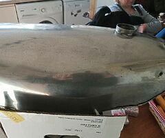 Sealy race tank